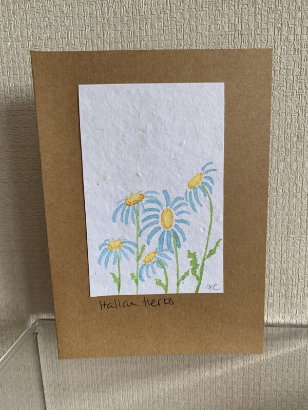 Hand Made Blank Card Blue Daisies