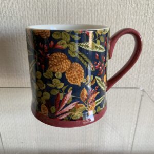 Habitat Mug - Winter Foliage