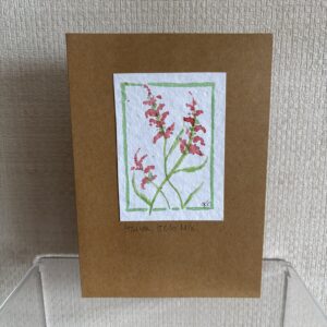 Hand Made Blank Card Red Salvias