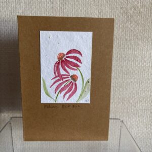 Hand Made Blank Card Echinacea