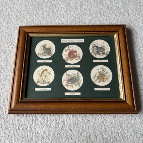 British Butterflies & British Woodland Animals Country House Editions Framed Pictures - Image 2