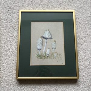 Mushroom Framed Painting