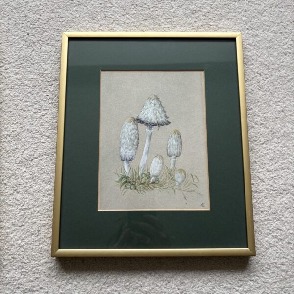Mushroom Framed Painting
