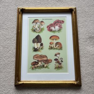 Mushrooms Print In Gold Frame