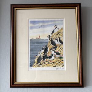 Puffins - Gerrard Russell Framed Print