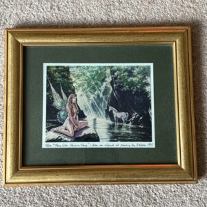 Fairy Glen Unicorn Fairy - David Weston Photographic Print