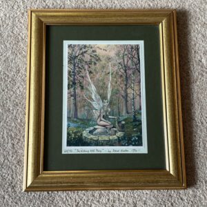 The Wishing Well Fairy - David Weston Photographic Print