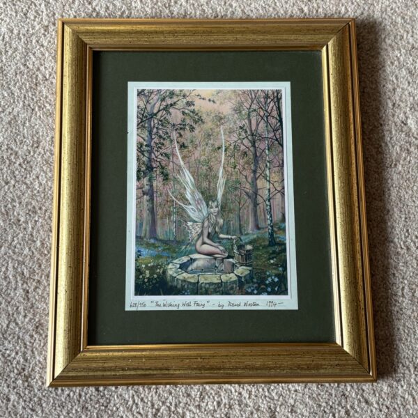 The Wishing Well Fairy - David Weston Photographic Print