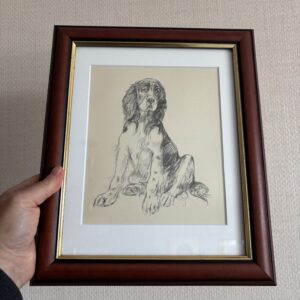 Spaniel Dog by K F Barker Framed Print
