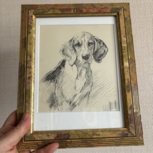 The Old Beagle Dog by K F Barker Framed Print