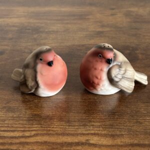 Vintage Robin Bird Salt and Pepper Pots