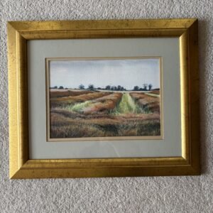 Original Landscape Picture- T.E.J Brooker