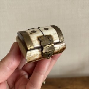 Miniature Camel Bone Box