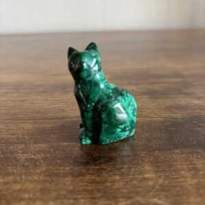 Small Malachite Cat