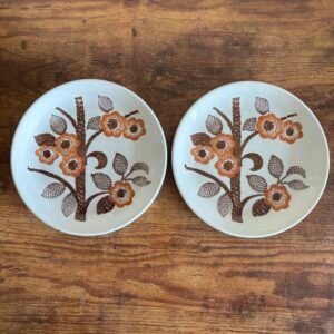 Pair Vintage Biltons Tea / Side Plates Summer Blossom